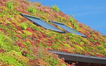 Kirkby Fenside living roof systems